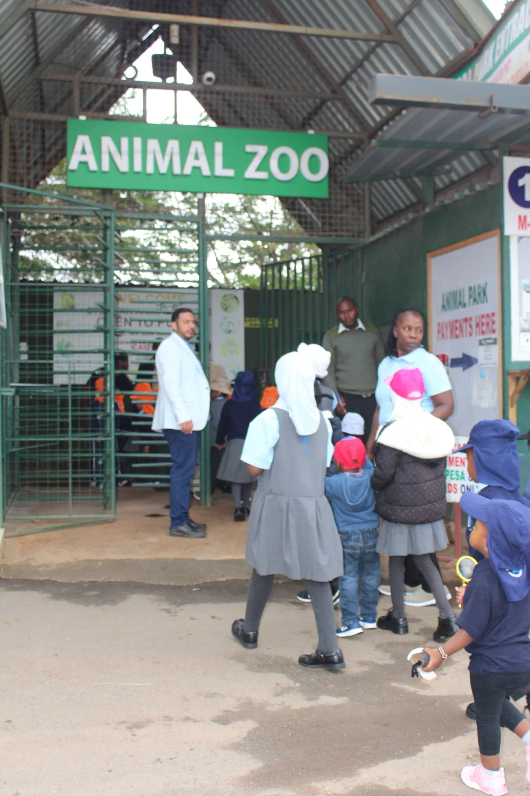 Hands-On Animal Care with Campus Friendly Rabbits