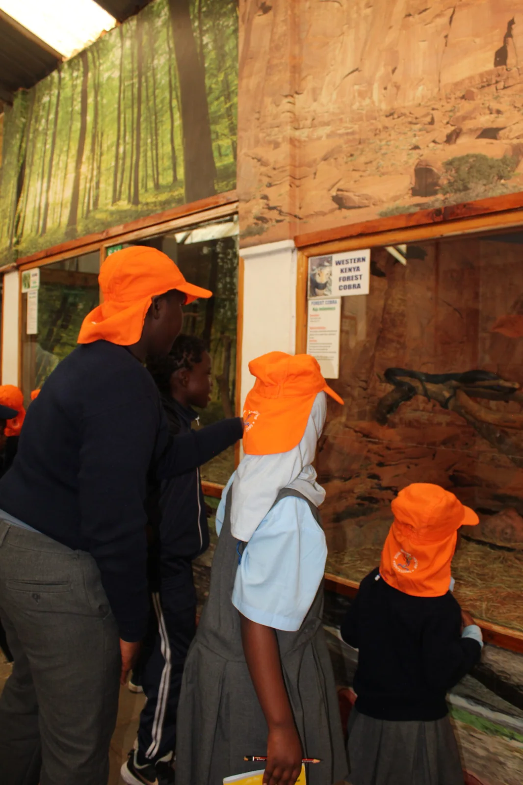 Reptile Vivarium Educational Tour at Snake Park