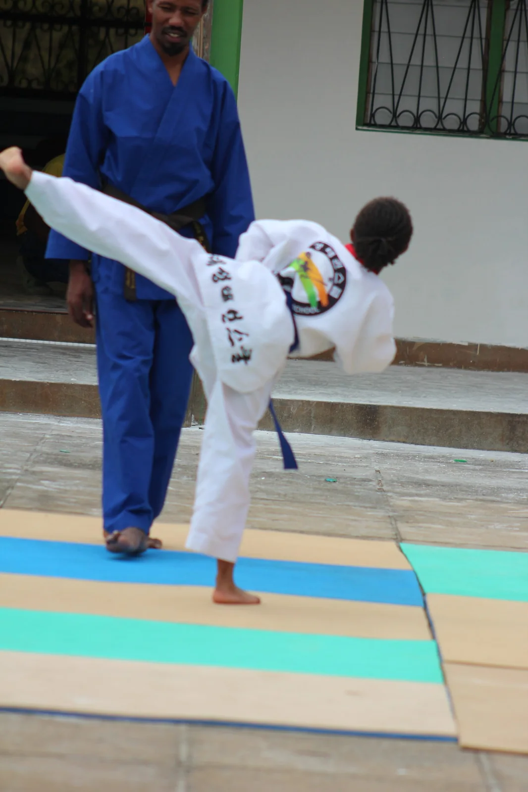 Taekwondo and Karate High Kick Training in Uniform